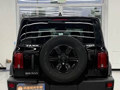 Tank 300 Off-Road Edition 2.0T Conqueror - ფოტო 13