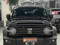 Tank 300 Off-Road Edition 2.0T Conqueror - ფოტო 2