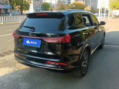 AITO Yuan Plus EV Glory Edition 100KM Premium 7-Seater - фото 3