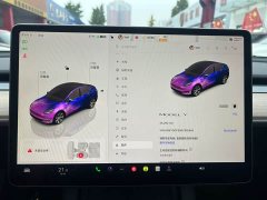 Tesla Model Y Rear-Wheel Drive - ფოტო 12