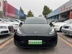 Tesla Model Y Rear-Wheel Drive - ფოტო 2