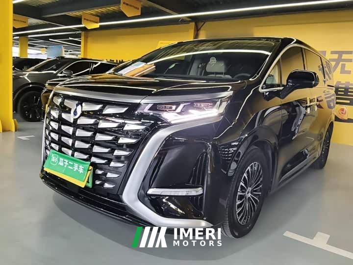 Denza D9 DM-i 965 Premium Edition