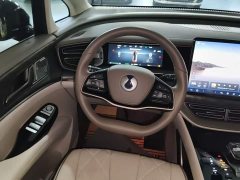 Denza D9 DM-i 965 Premium Edition - photo 10