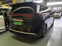 Denza D9 DM-i 965 Premium Edition - photo 6