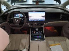 Denza D9 DM-i 965 Premium Edition - photo 9
