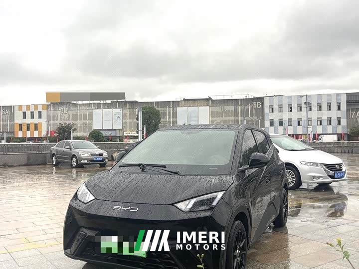 BYD Seagull Glory Edition 305km Vitality Version - ავტომობილი ჩინეთიდან