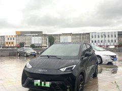 BYD Seagull Glory Edition 305km Vitality Version - ფოტო 1