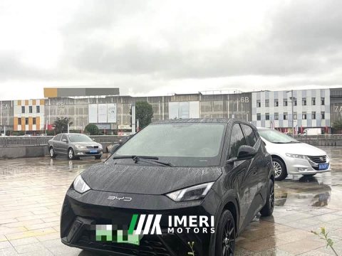 2024 BYD Seagull Glory Edition 305km Vitality Version - ავტომობილი ჩინეთიდან