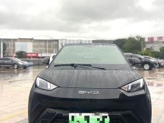 BYD Seagull Glory Edition 305km Vitality Version - ფოტო 2