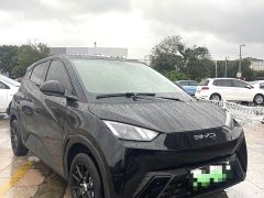 BYD Seagull Glory Edition 305km Vitality Version - ფოტო 3