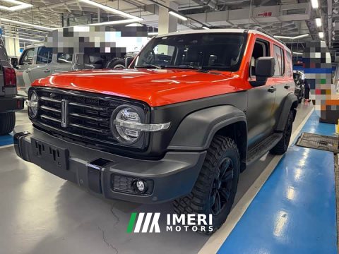 2021 Tank 300 Off-Road Edition 2.0T Conqueror - ავტომობილი ჩინეთიდან