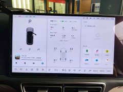 Li Auto L9 Max - ფოტო 6