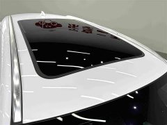 BYD Yuan Plus DM-i 112KM Premium Edition - ფოტო 11