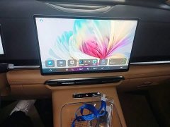 Voyah Lantu Dreamchaser PHEV AWD Luxury Qiankun Edition - фото 12
