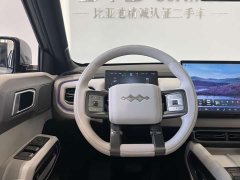 Fangchengbao Titanium 3 501KM AWD Ultra - ფოტო 7