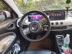 Wuling Binguo 410km Lingxi Premium Edition - photo 6
