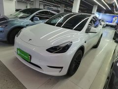 Tesla Model Y Rear-Wheel Drive - ფოტო 1