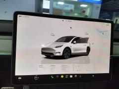 Tesla Model Y Rear-Wheel Drive - ფოტო 11
