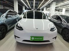 Tesla Model Y Rear-Wheel Drive - ფოტო 2