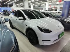 Tesla Model Y Rear-Wheel Drive - ფოტო 3