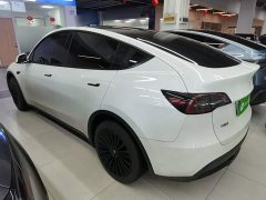 Tesla Model Y Rear-Wheel Drive - ფოტო 4