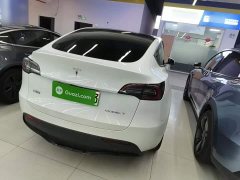 Tesla Model Y Rear-Wheel Drive - ფოტო 6