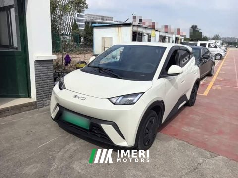 2025 BYD Seagull 305km Vitality Edition - car from China