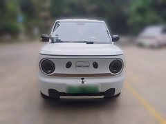 Geely Panda Mini 200km Endurance Edition - ფოტო 2