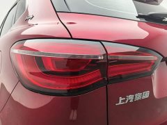 SAIC HS 30T 2WDTrophy Edition VI - ფოტო 15