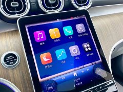 Mercedes-Benz GLC 300 L 4MATIC Dynamic Edition 7-seater - ფოტო 10
