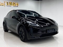 Tesla Model Y Rear-Wheel Drive - ფოტო 2