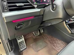 Volkswagen Passat 380TSI Starry Sky Dragon Prestige Edition - ფოტო 8