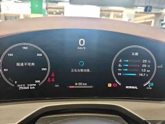 Porsche Panamera 4 Executive Extended Wheelbase 2.9T - ფოტო 4