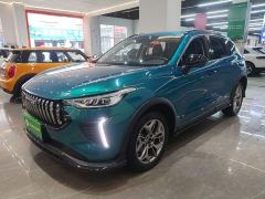 Haval Chitu Jingxiang Edition 1.5T Purple Copper Rabbit - photo 1