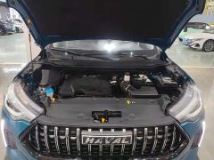 Haval Chitu Jingxiang Edition 1.5T Purple Copper Rabbit - photo 15
