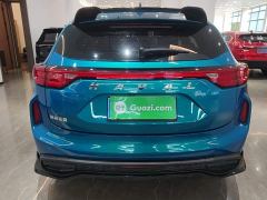 Haval Chitu Jingxiang Edition 1.5T Purple Copper Rabbit - photo 3