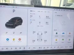 Li Auto L8 Pro - ფოტო 5