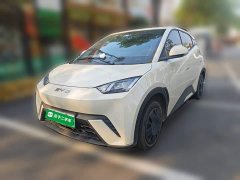 BYD Seagull 305km Vitality Edition - ფოტო 1