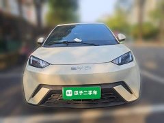 BYD Seagull 305km Vitality Edition - ფოტო 2