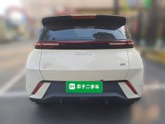 BYD Seagull 305km Vitality Edition - ფოტო 3