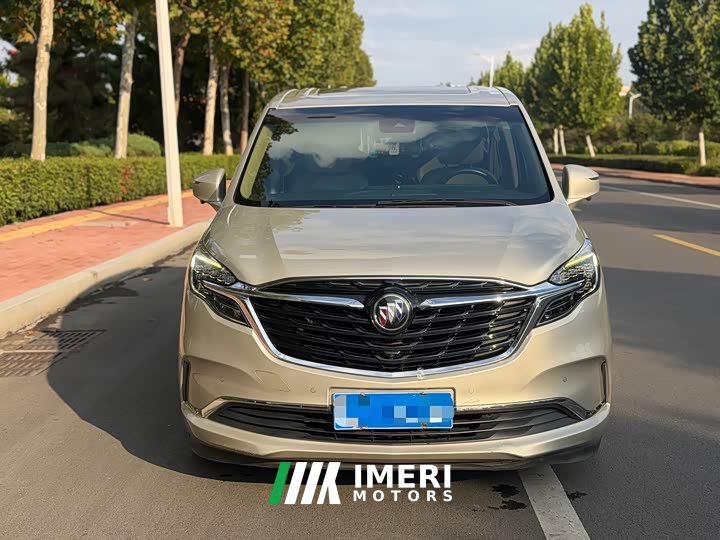 Buick GL8 ES Land Respect 653T Luxury - автомобиль из Китая