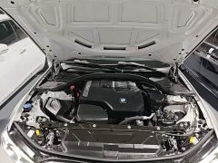 BMW 3 Series 320Li M Sport Package - ფოტო 19