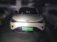 Smart Spirit #3 Dynamic AWD Edition - photo 2