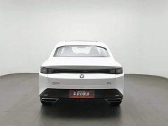 Changan Yidong Blue Whale 1.5T 500Bar Flagship - photo 4