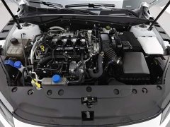 Changan Yidong Blue Whale 1.5T 500Bar Flagship - photo 6
