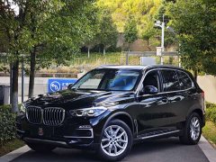 BMW X5 (Imported) xDrive40i M Sport Package - фото 1