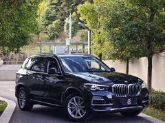 BMW X5 (Imported) xDrive40i M Sport Package - фото 3