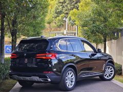 BMW X5 (Imported) xDrive40i M Sport Package - фото 6