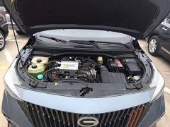 GAC Trumpchi GS3 Emzoom 270T R-STYLE Edition - photo 19