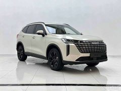 Haval H6 2.0T AWD Max - ფოტო 3